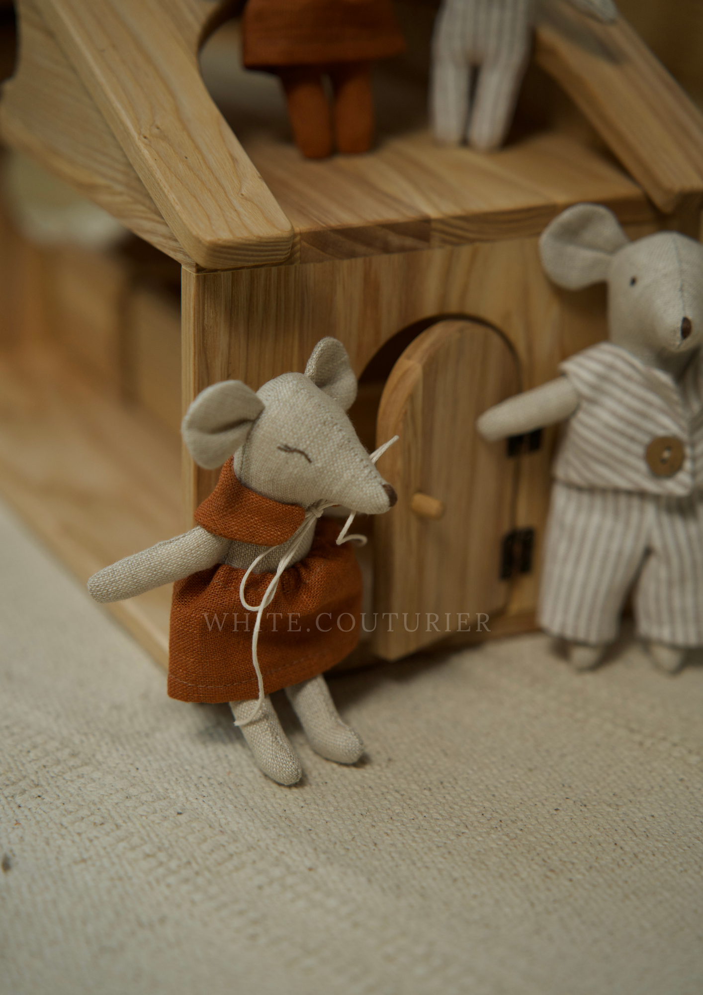 Mouse family