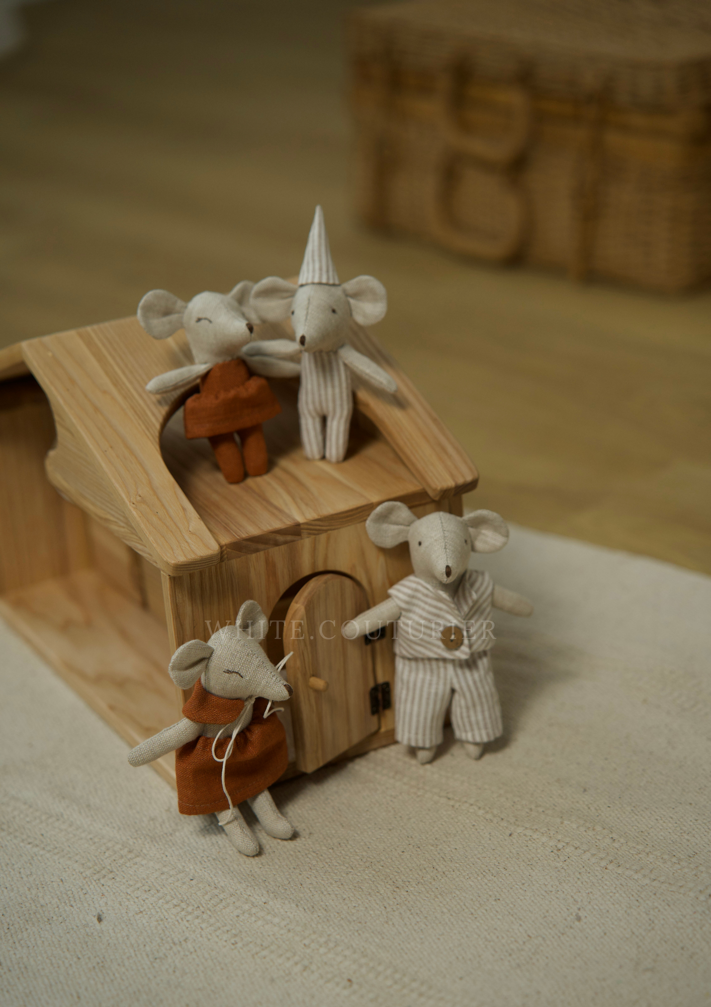 Mouse family